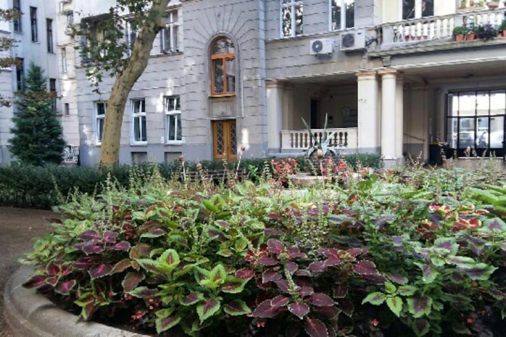 Gorgeous Flat Right Near The City Center Budapest Bagian luar foto